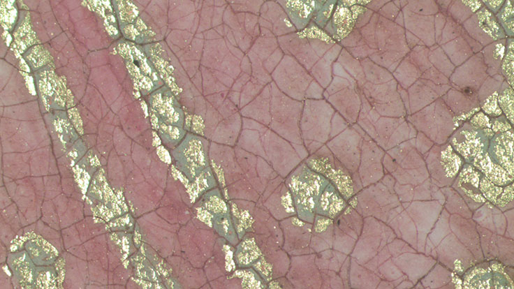 Photomicrograph of mordant gilding.